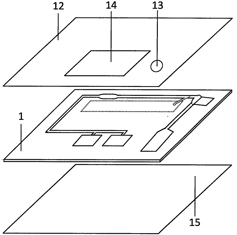 Magnetic particulate chemiluminiscence micro-fluidic chip capable of quantitatively detecting brain natriuretic peptide in whole blood