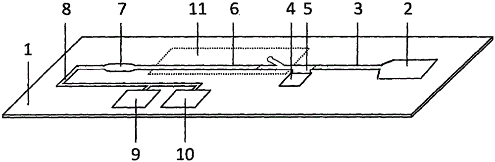 Magnetic particulate chemiluminiscence micro-fluidic chip capable of quantitatively detecting brain natriuretic peptide in whole blood