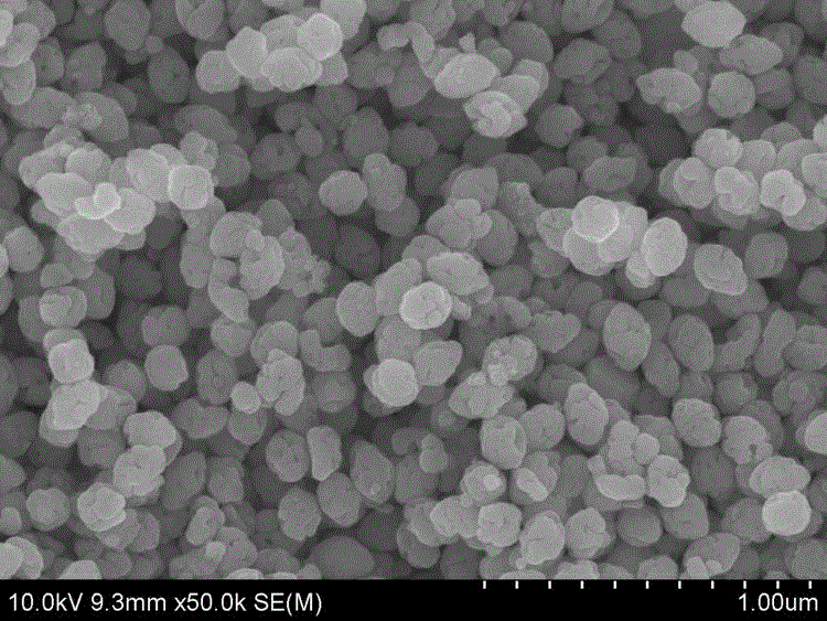 Olivary porous stannic oxide sensitive to hydrogen sulfide as well as preparation and application