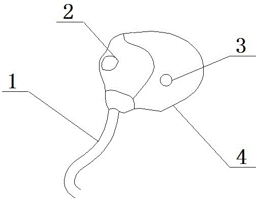 Automobile trip computer system based on fingerprint identity recognition