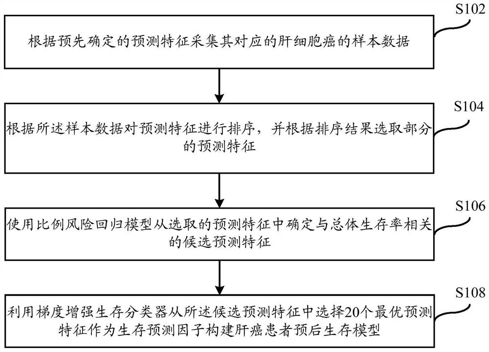 Prediction method for clinical prognosis of liver cancer patient based on machine learning