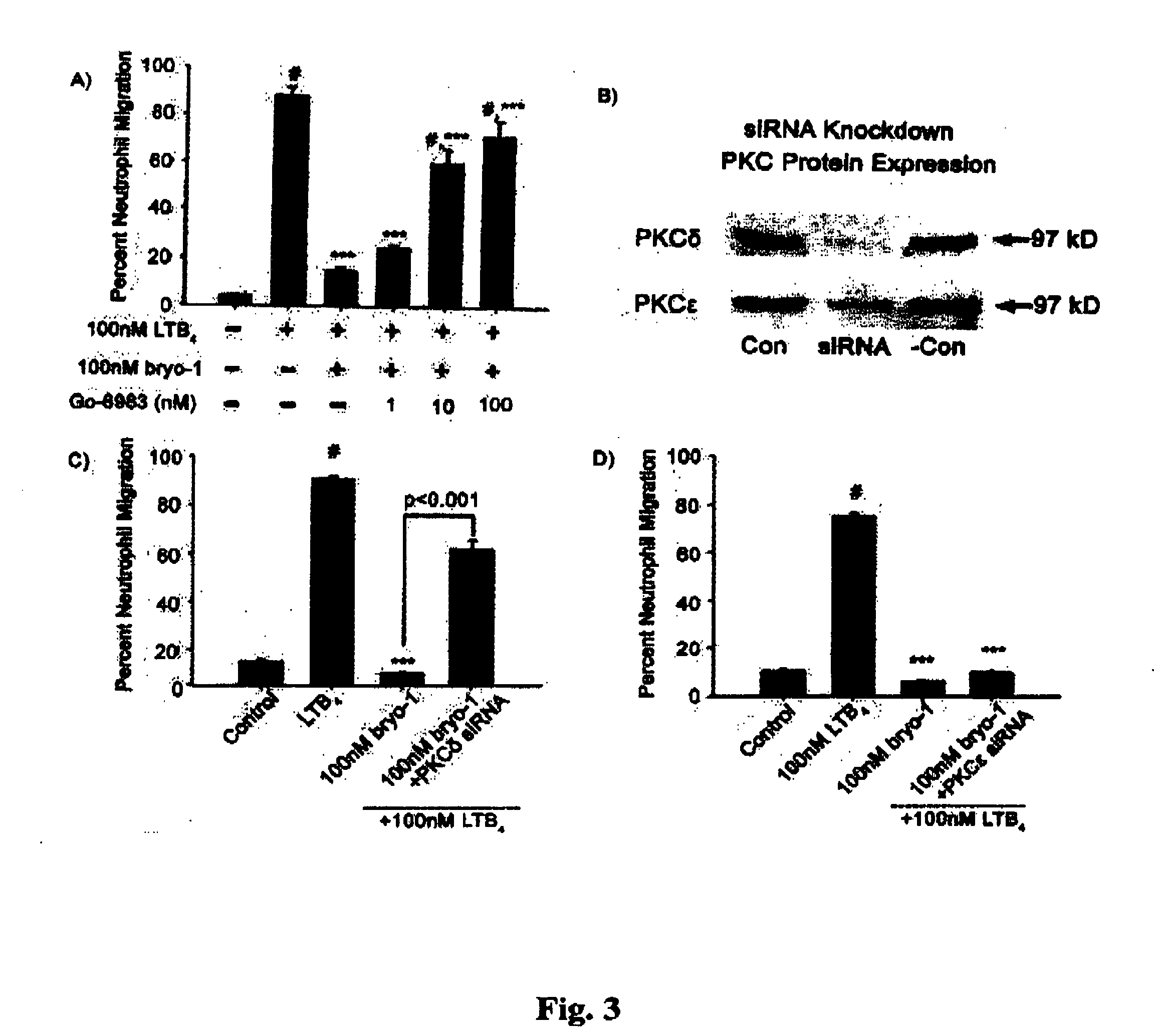 Chronic inflammation and transplantation