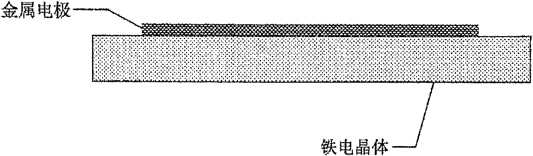 Polarizing electrode for polarizing ferroelectric crystal material