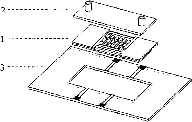 Cell electrofusion chip device based on micro-chamber array structure