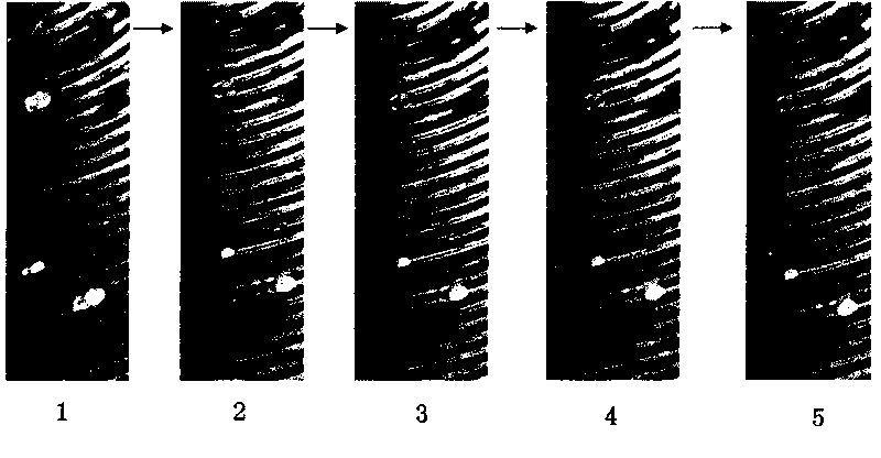 Nucleic acid hybridized platform based on micro-flow control and hybridization analysis method thereof