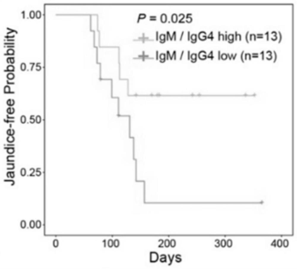 Application of reagent for inhibiting MHC-I and/or II signaling pathway in treatment of biliary atresia