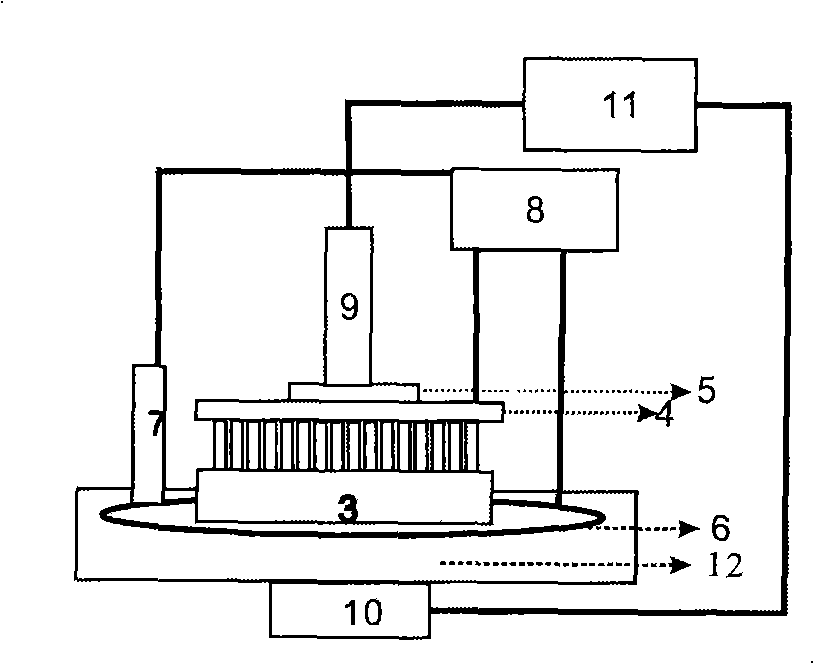 Electrochemical processing method for micro-structure of P type silicon surface