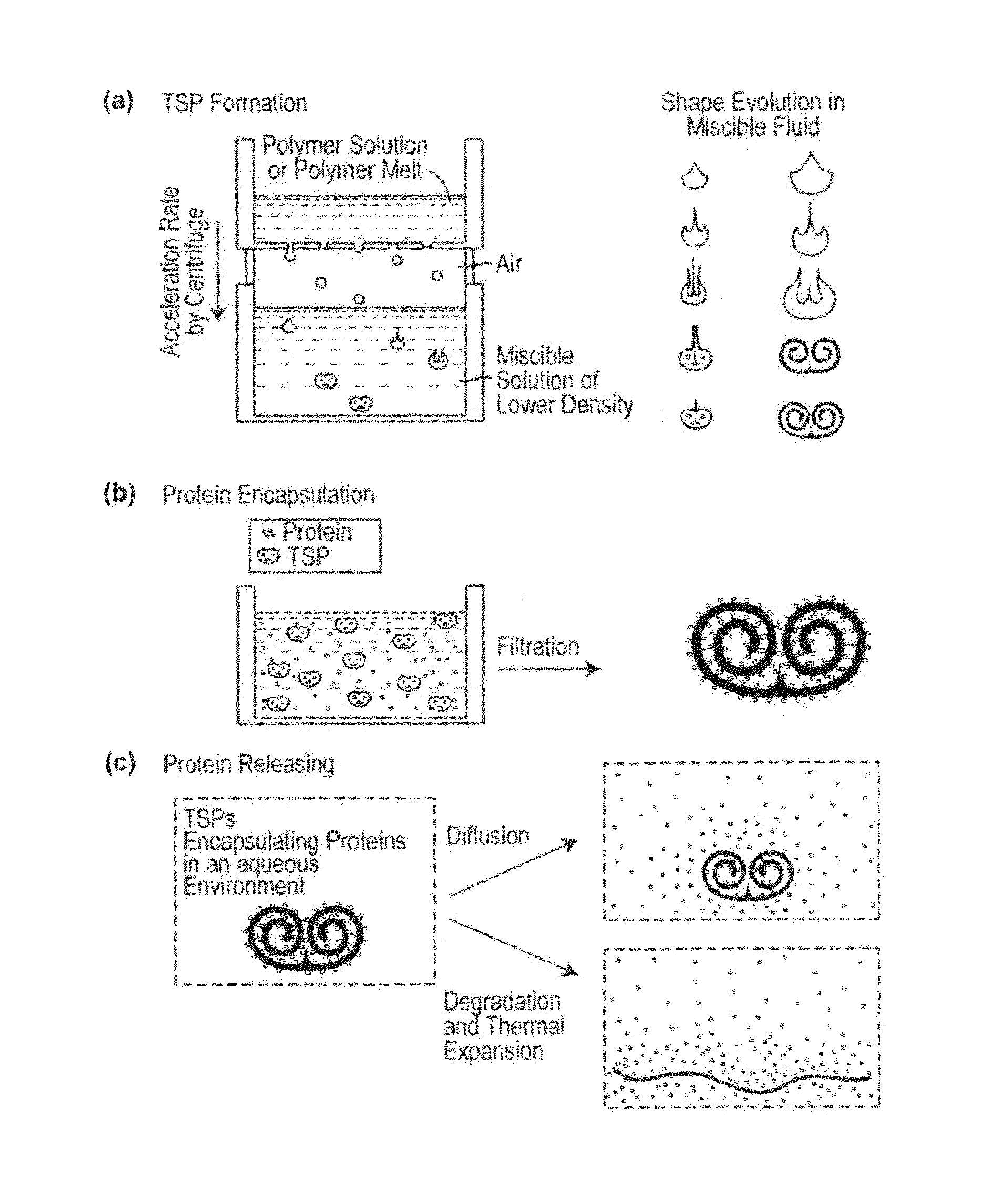 Self-Assembled Toroidal-Spiral Particles and Manufacture and Uses Thereof