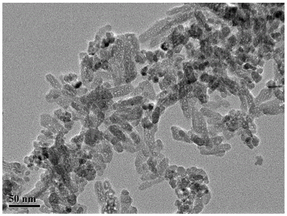 Preparation method of magnetic hydroxyapatite immobilized lipase and application in edible fat and oil processing