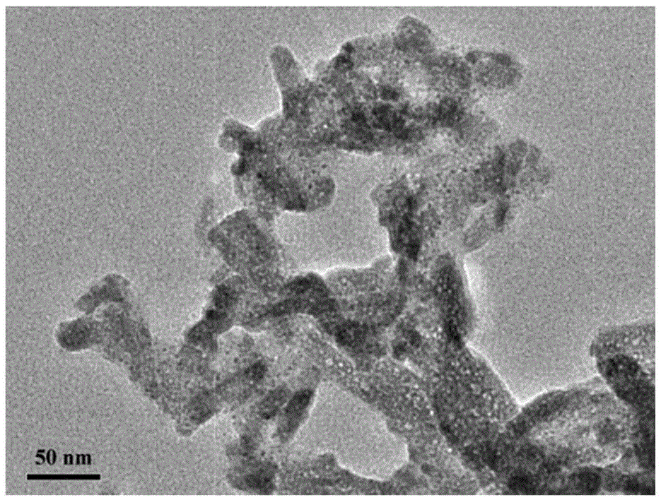 Preparation method of magnetic hydroxyapatite immobilized lipase and application in edible fat and oil processing