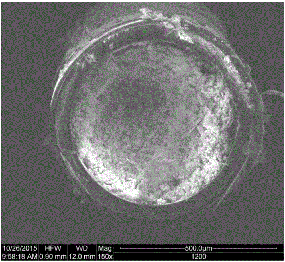 Nanogold modified polymer monolithic column, and preparation method and application thereof