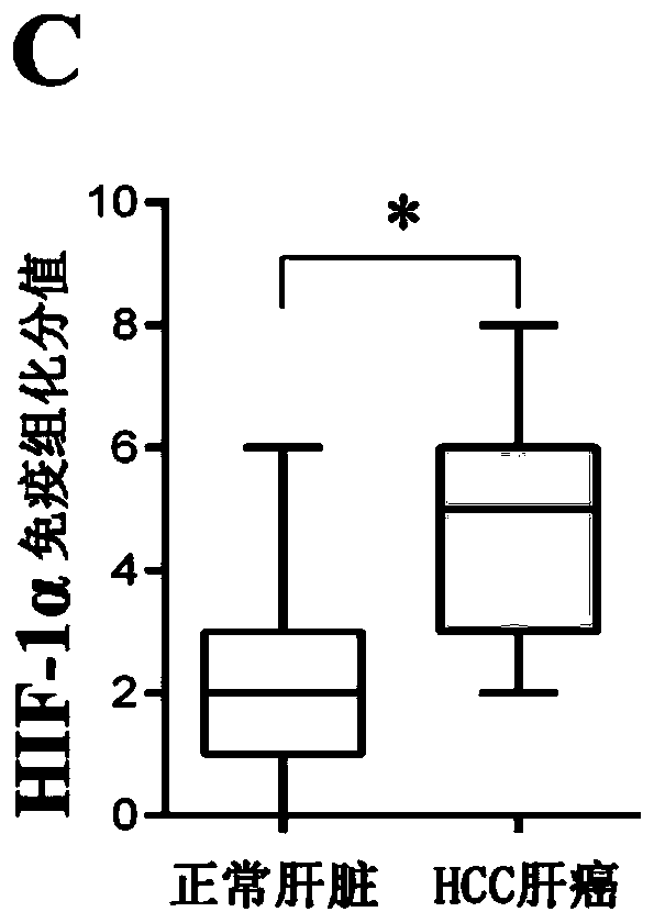 A kind of SGRNA and the chronic virus carrier and application they built