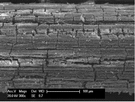 Solid phase microextraction coating and preparation method thereof