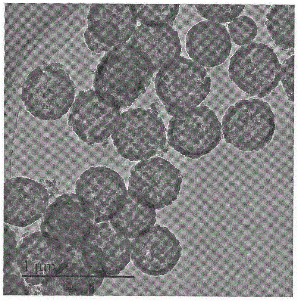 Mesoporous silica nano hollow sphere and preparation method thereof