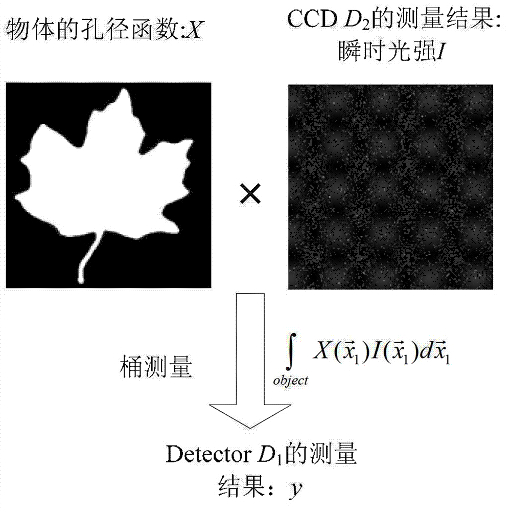 Self-adaptation morphological filtering system and method applied to calorescence correlation imaging