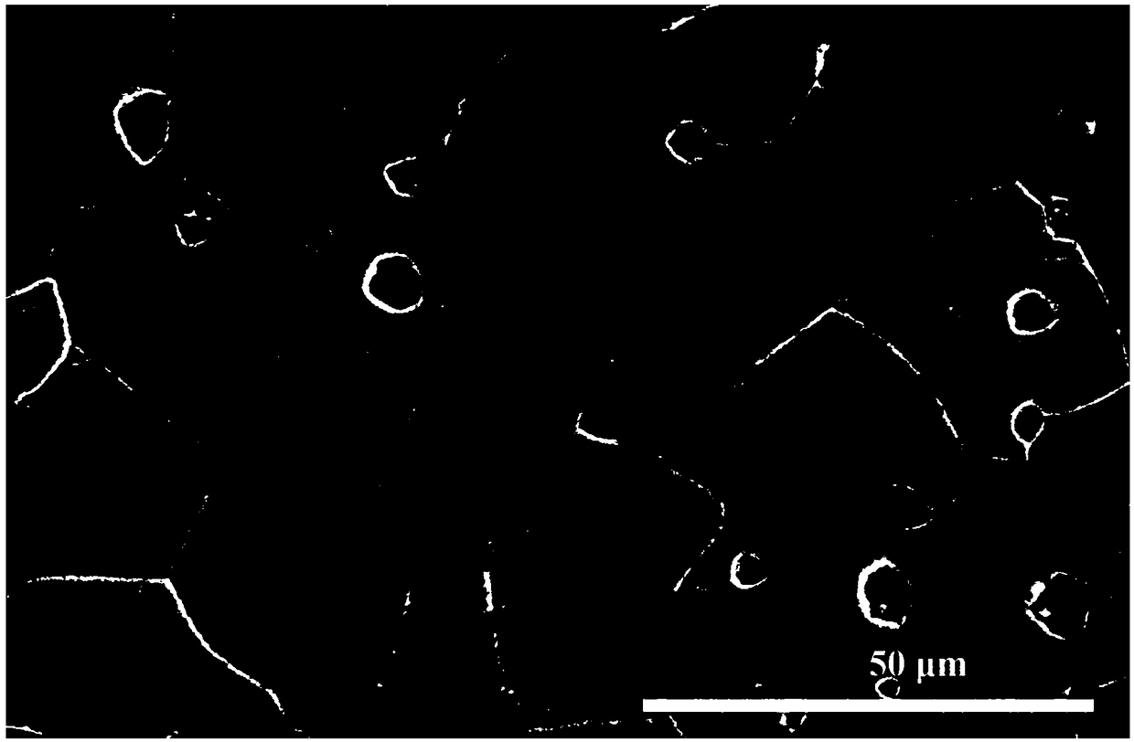 Molybdenum alloy with high strength and ductility and preparation method thereof