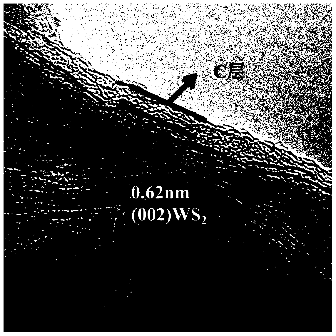 Tungsten sulfide/CNTs (carbon nanotubes)-C composite electrode material and preparation method thereof