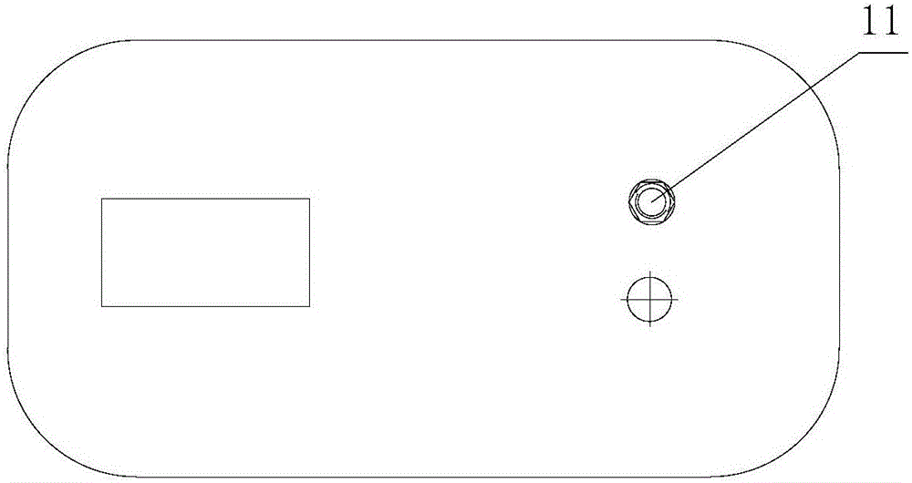 Sulfide detection method and device