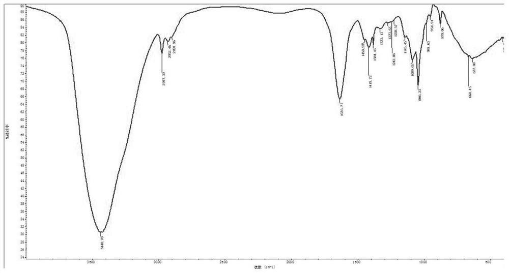 A kind of separation and extraction method and application of thick root nettle polysaccharide