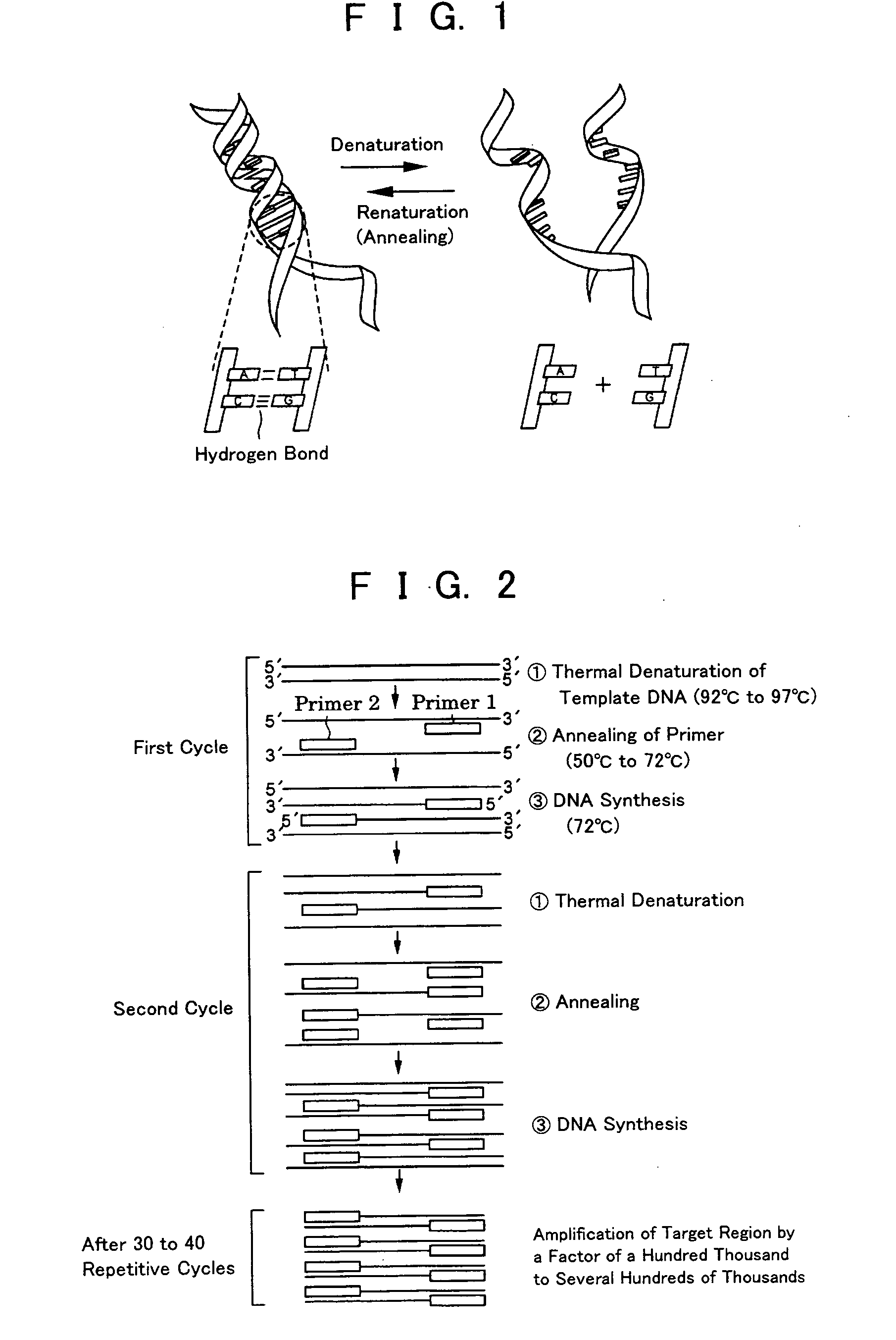 Pcr method by electrostatic transportation, hybridization method for electrostatic transportation and devices therefor