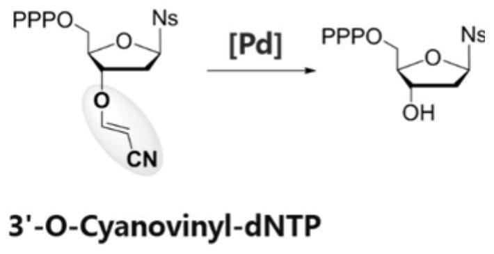 3'-O-reversibly closed nucleotide and application thereof in template-free enzymatic nucleic acid synthesis