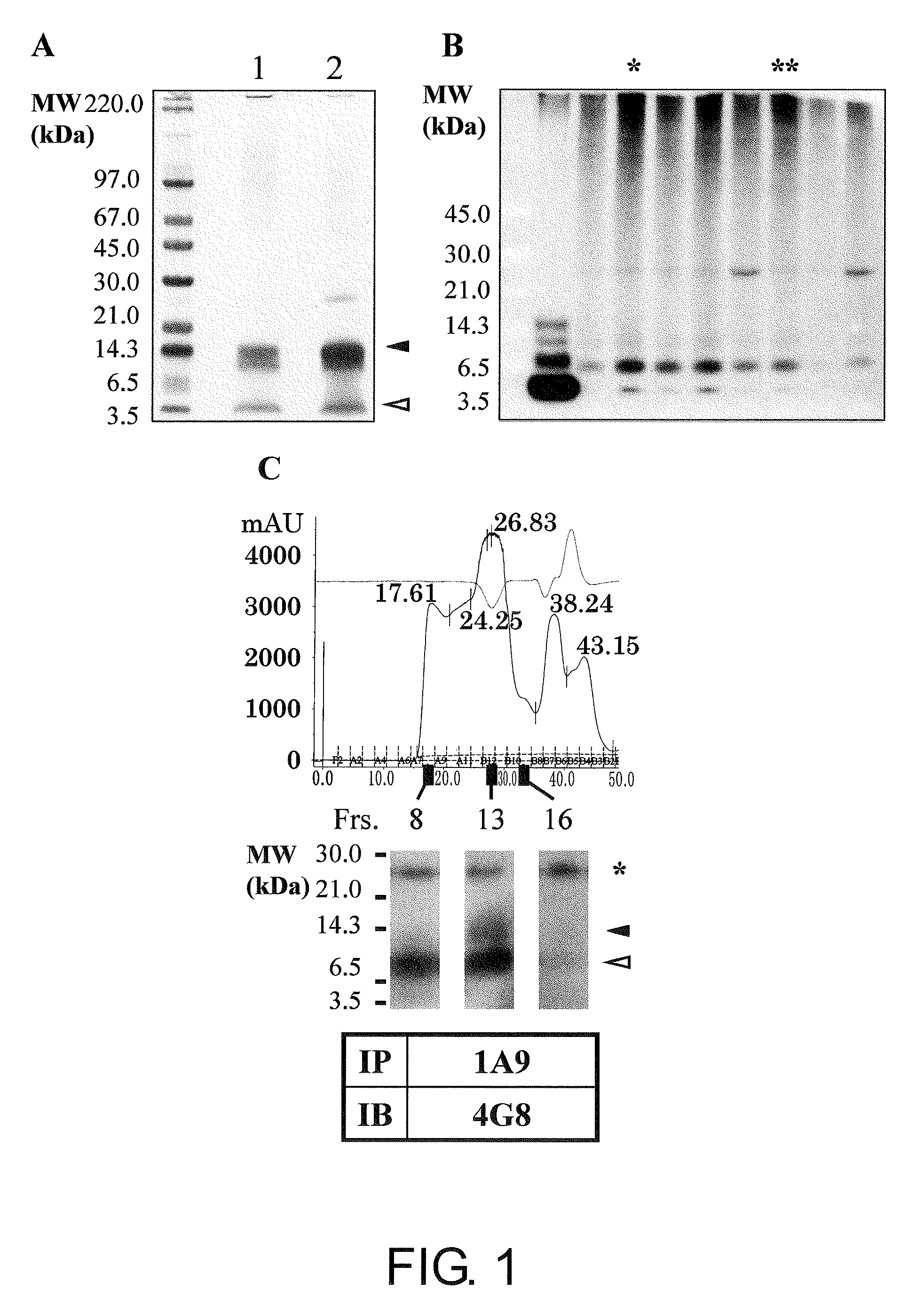 Antibody Specific Binding to A Beta Oligomer and the Use