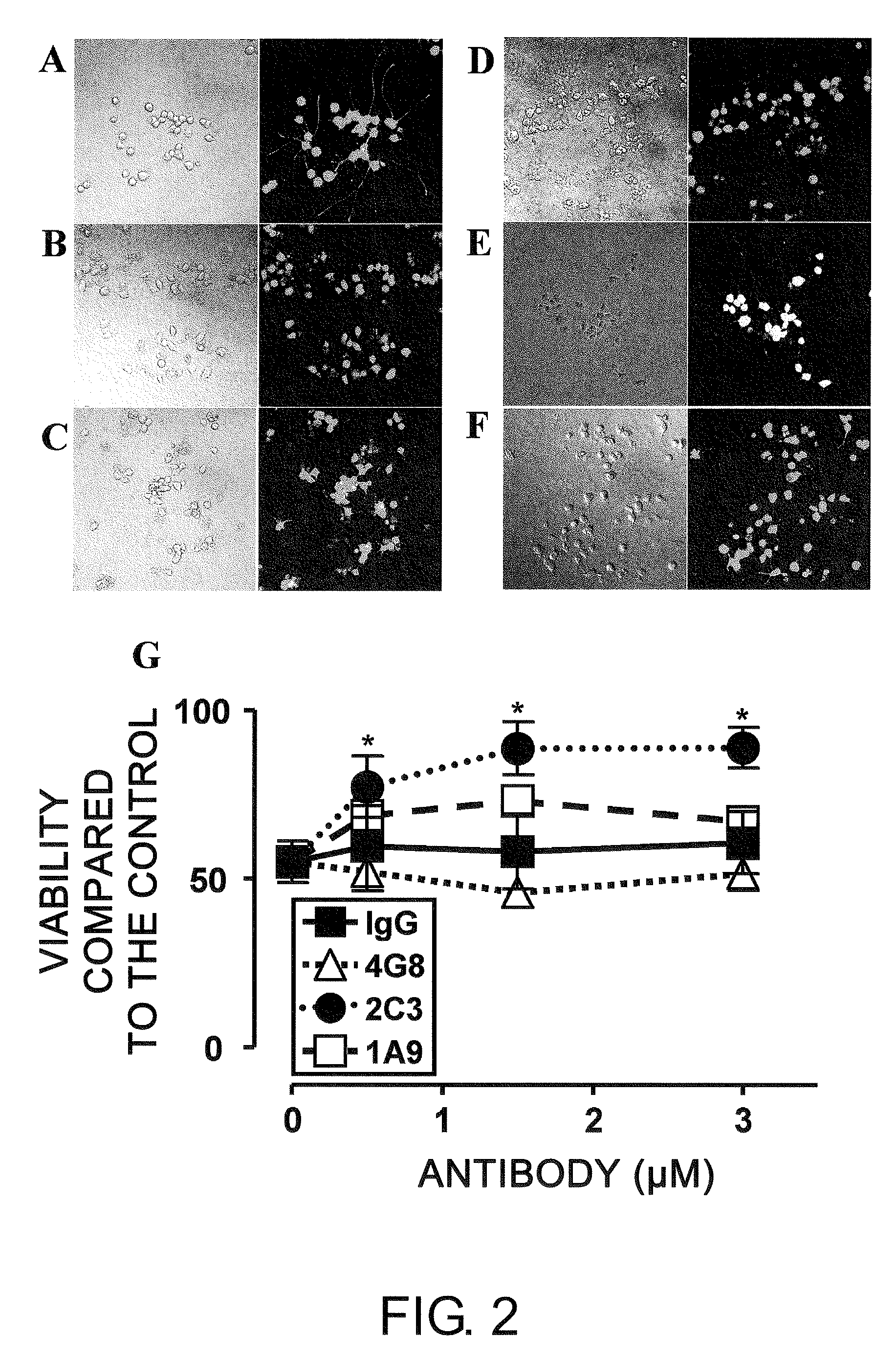 Antibody Specific Binding to A Beta Oligomer and the Use