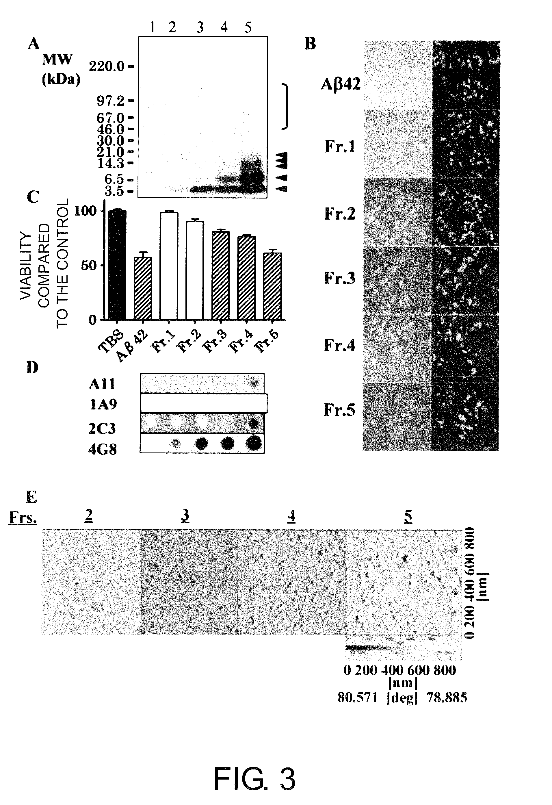 Antibody Specific Binding to A Beta Oligomer and the Use