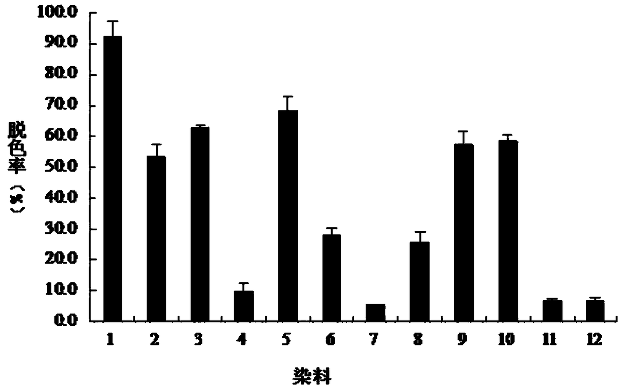 Application of laccase in decolorization of protein gel