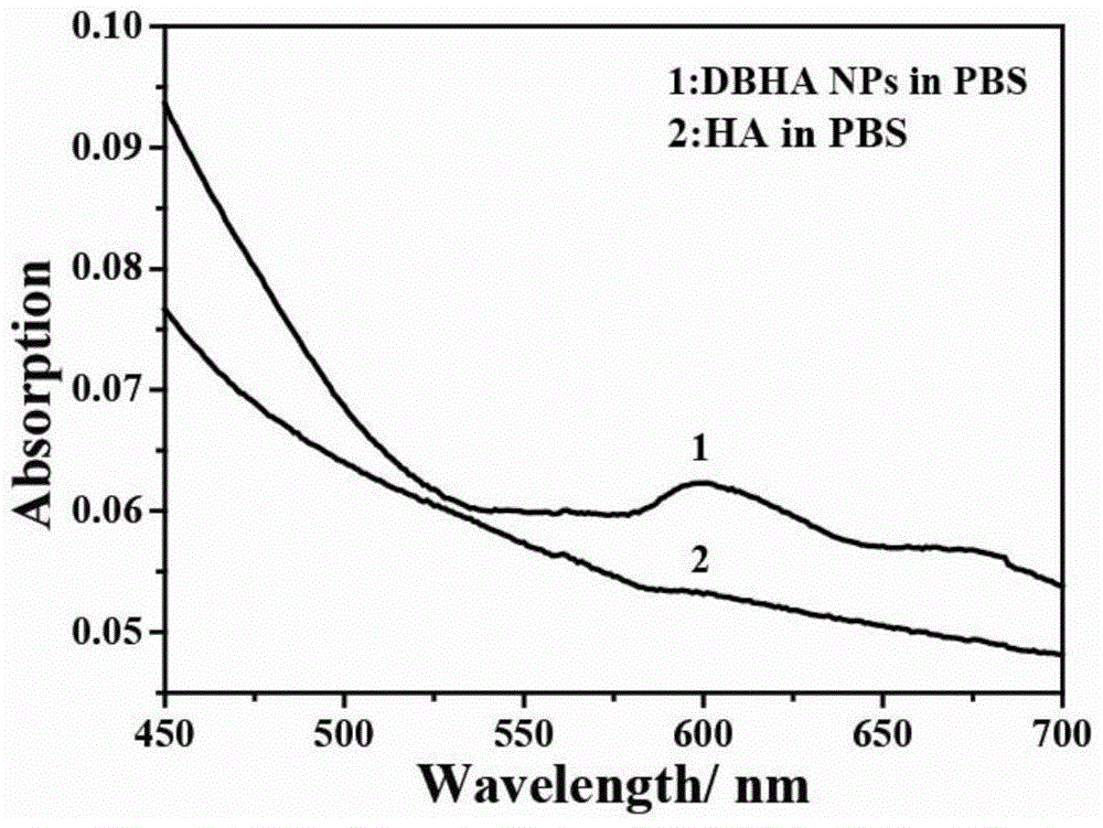 Diiodostyrene type boron fluoride dipyrrole-hyaluronic acid and its preparation method and application