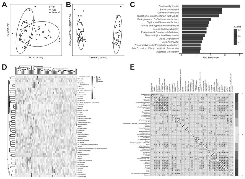 Screening method of blood plasma molecular markers for diagnosing cervical cancer based on metabonomics