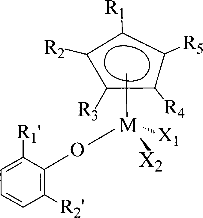 Supported metallocene catalyst and olefin polymer, and preparation methods thereof