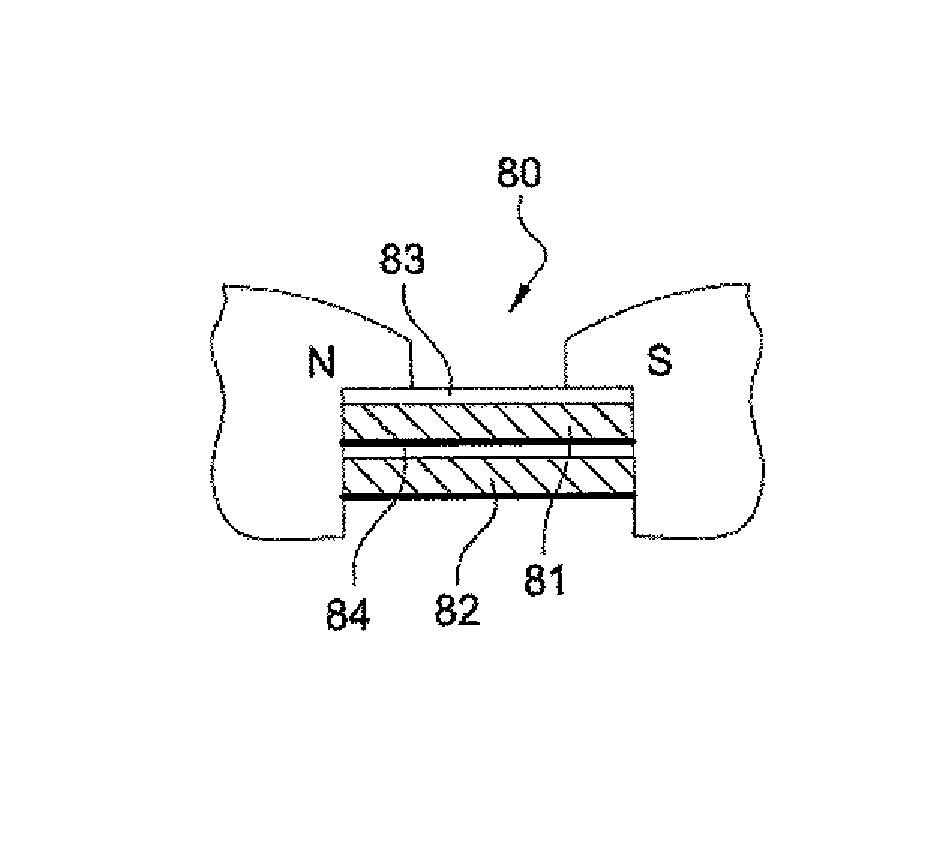 Rotor for rotary electric machine with reduced-mass interpolar structures