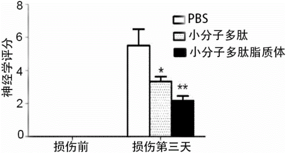 Application of micromolecular polypeptide for inhibiting neuron apoptosis