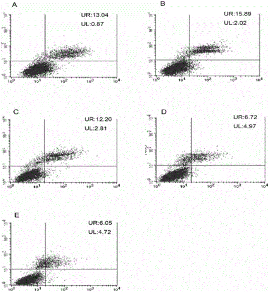 Application of micromolecular polypeptide for inhibiting neuron apoptosis