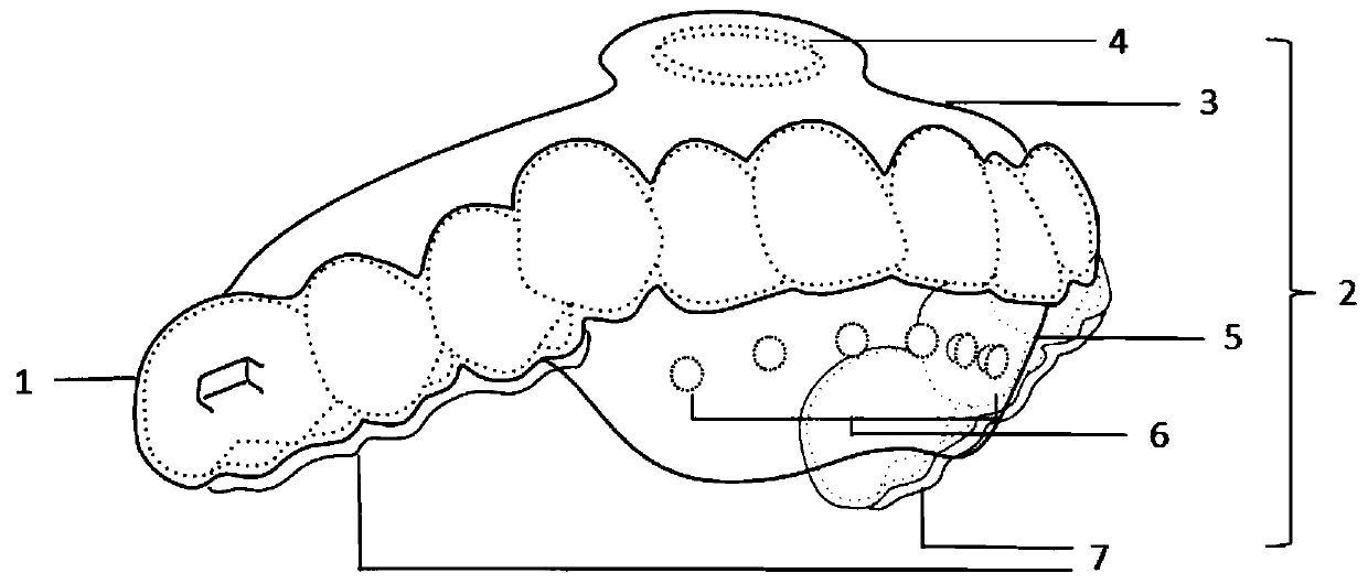 Multifunctional invisible correction appliance