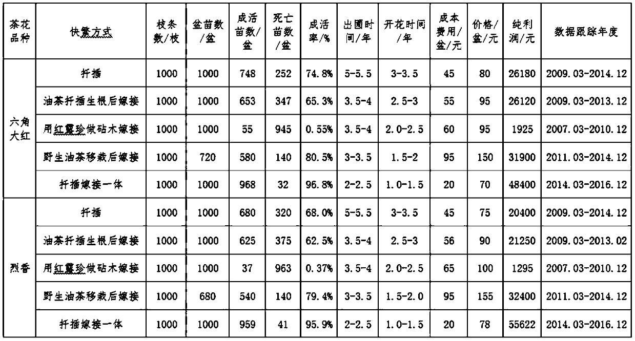 Integrated Rapid Propagation Method of Camellia Cutting Grafting