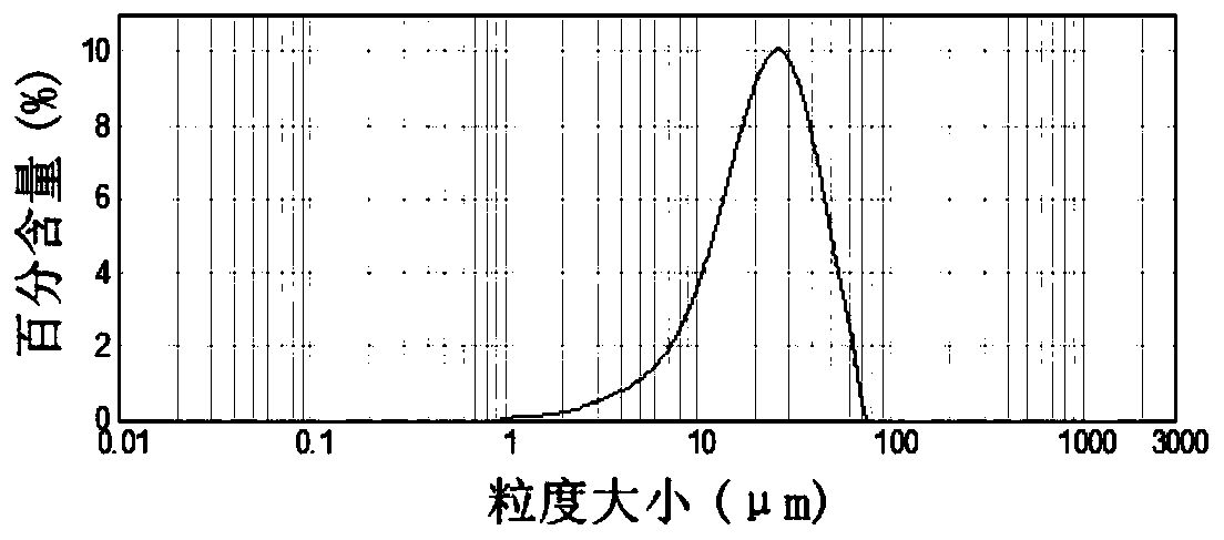 Composite conductive paste, preparation method and use thereof