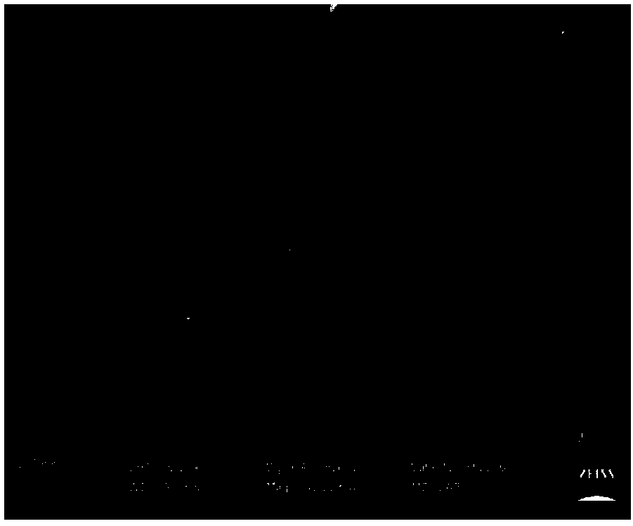 Negative electrode material preparation method, negative electrode material, negative electrode piece and lithium ion battery