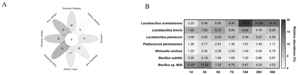 Molecular marker for quantifying lactobacillus acidophilus and method for absolutely quantifying bacterial community composition in yellow wine fermentation process