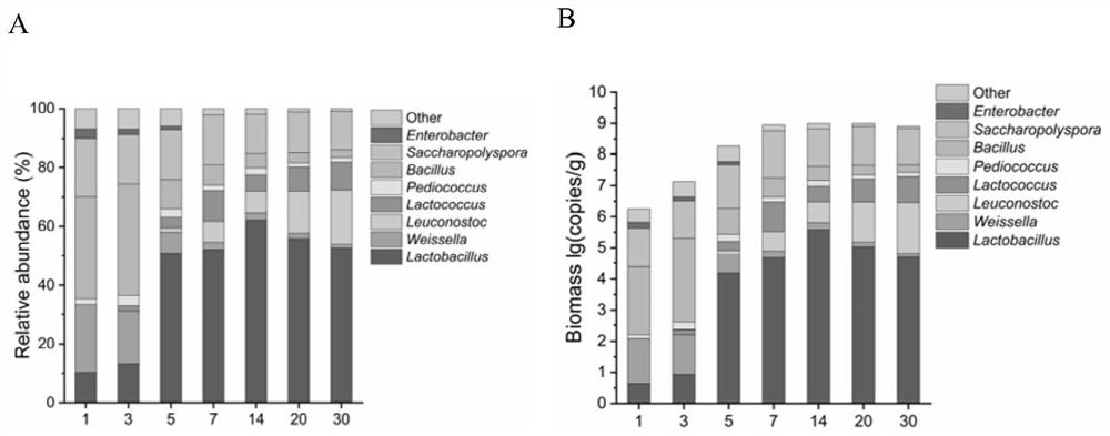 Molecular marker for quantifying lactobacillus acidophilus and method for absolutely quantifying bacterial community composition in yellow wine fermentation process