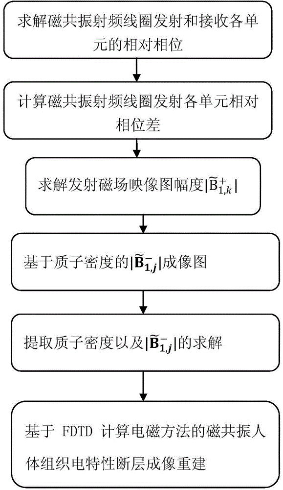 Magnetic resonance human tissue electrical characteristic tomography method