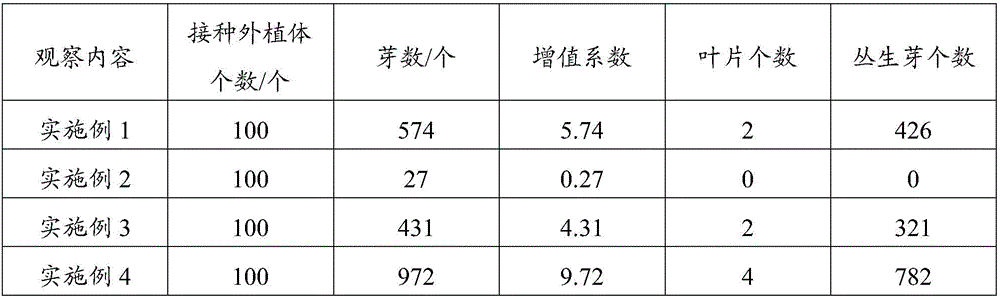 Medium and method for tissue culture of euonymus maackii