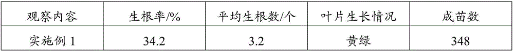 Medium and method for tissue culture of euonymus maackii