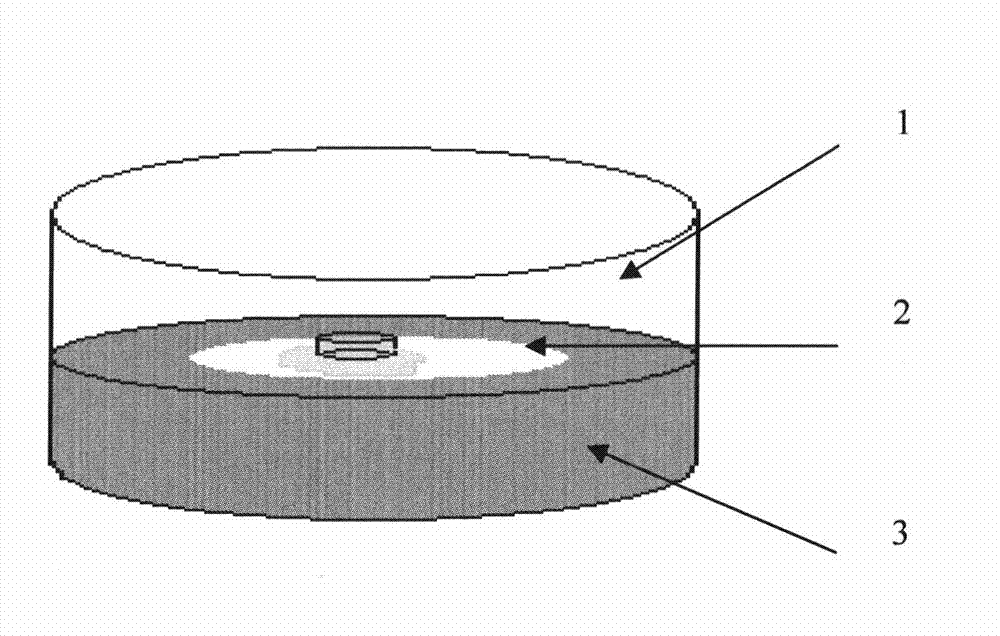 Method for building psoriasis basic research models, and gas-liquid level transmembrane device