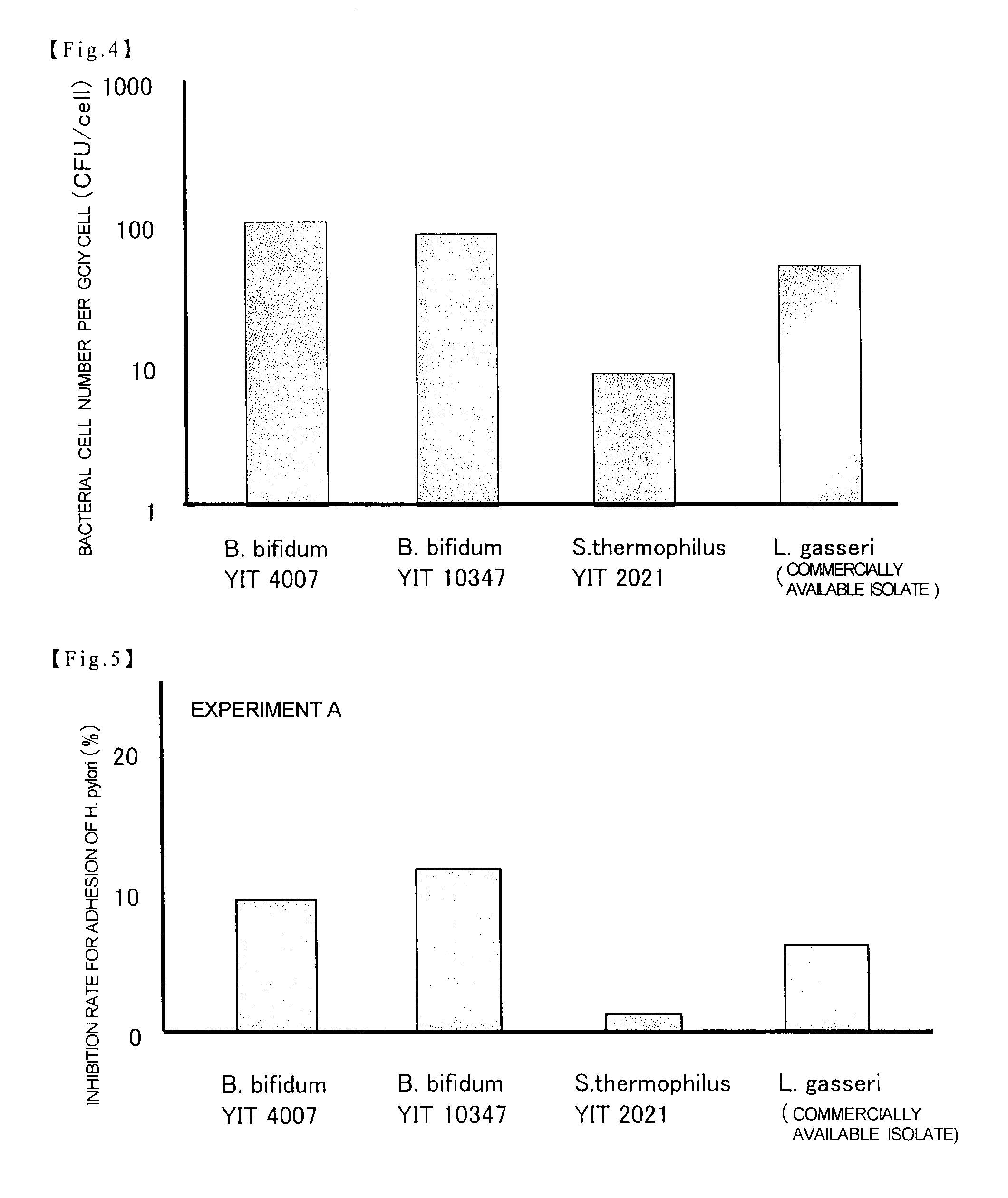 Bacterium belonging to the genus <i>Bifidobacterium </i>and utilization of the same