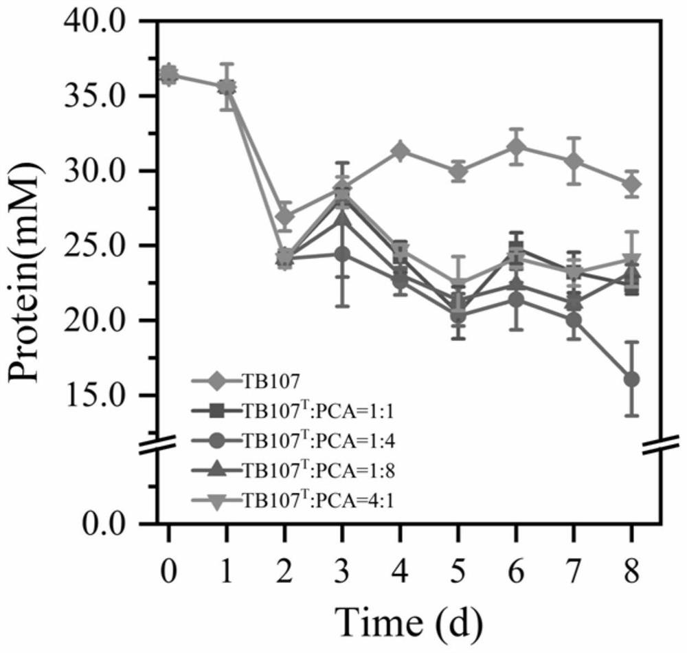 Method for degrading protein by co-culture of proteiniphilum acetatigenes and geobacter sulfurreducens