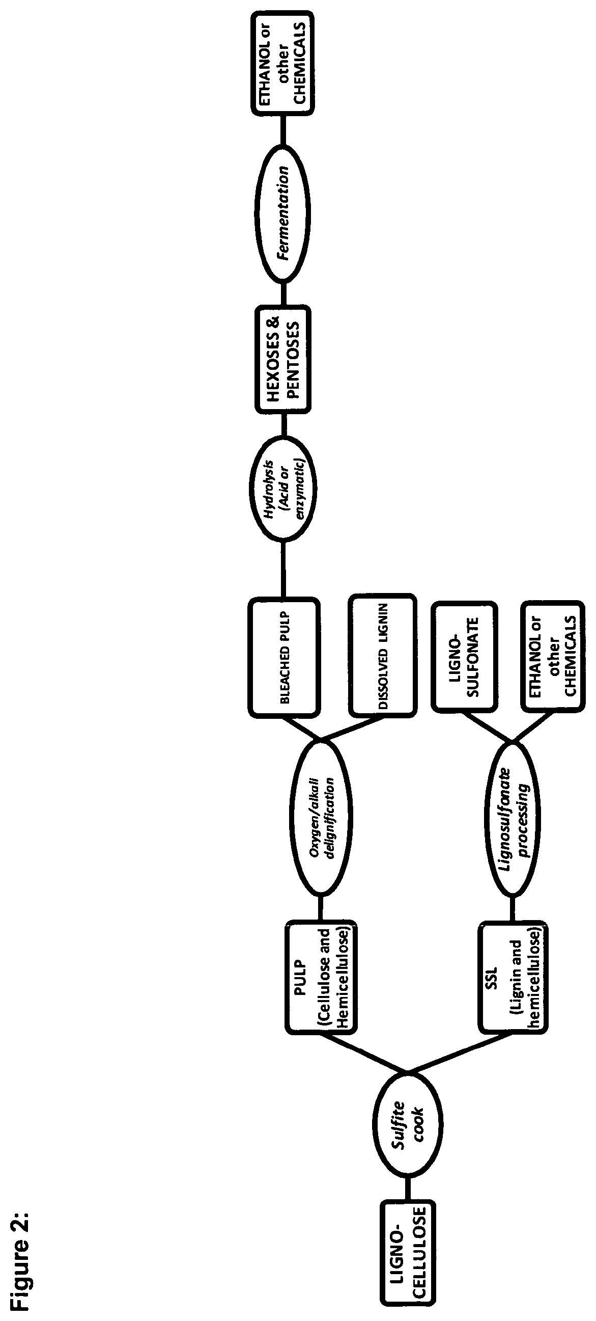 Lignocellulosic biomass conversion