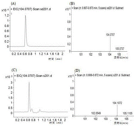 Lactobacillus plantarum SG5 for producing gamma-aminobutyric acid