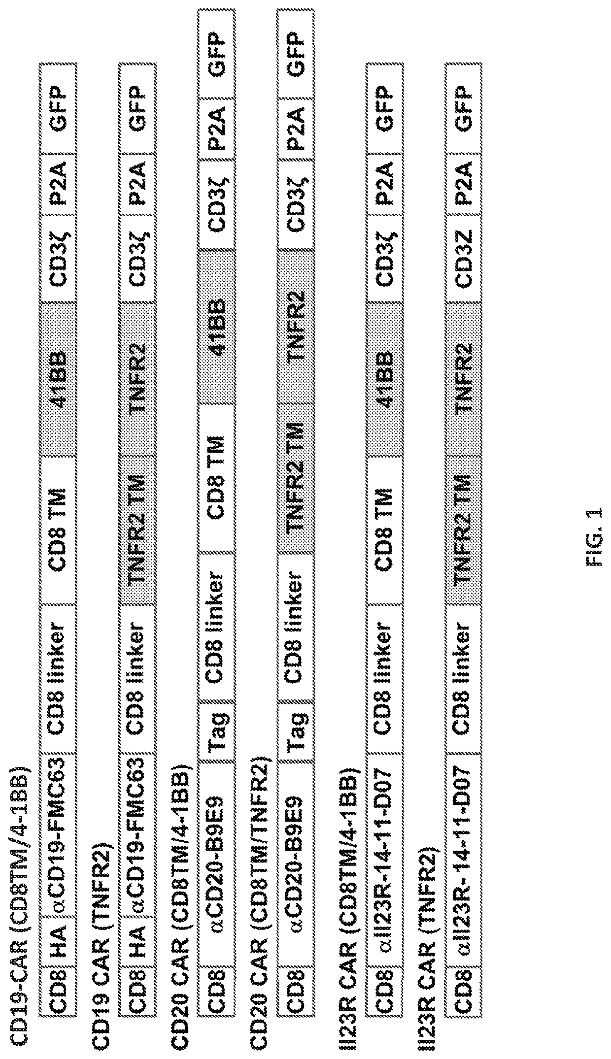 New car constructs comprising tnfr2 domains